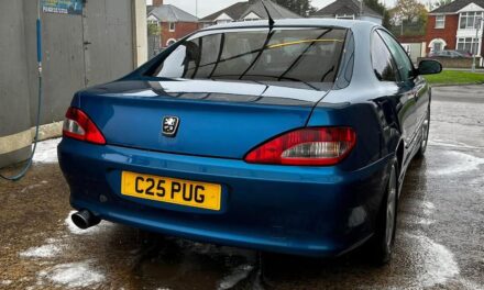 ZOWOW – Peugeot 406 V6 Coupe