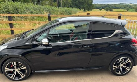 Jason – Peugeot 208 Gti