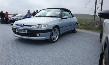 Pete – Peugeot 306 Cab